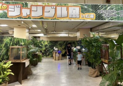 2024/07/25  パネル展示　夏のジャングル展　　　in松菱　